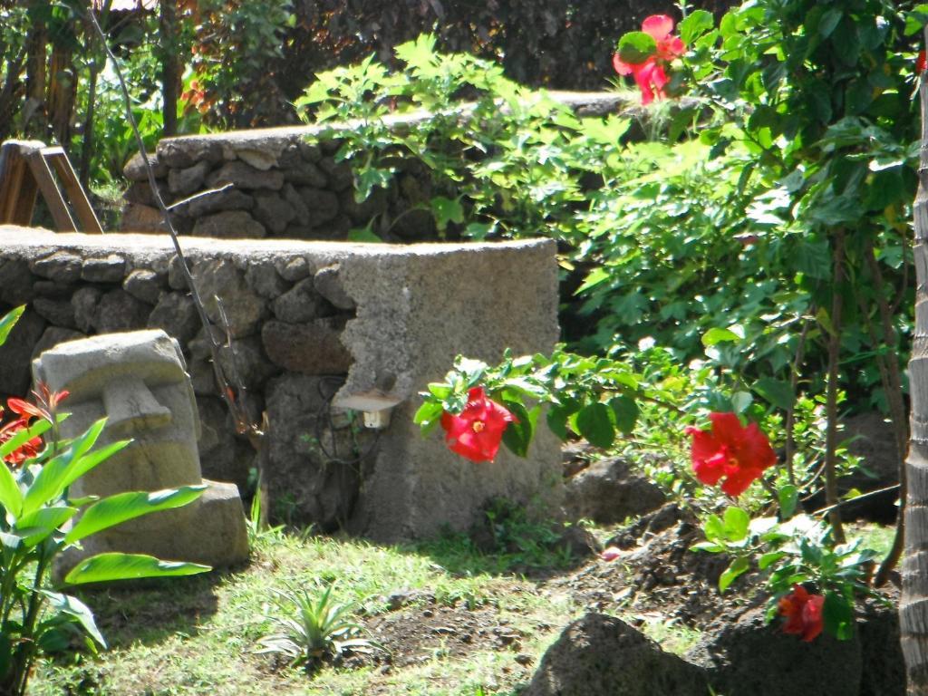 Villa Mamma Nui Glamping à Hanga Roa Extérieur photo